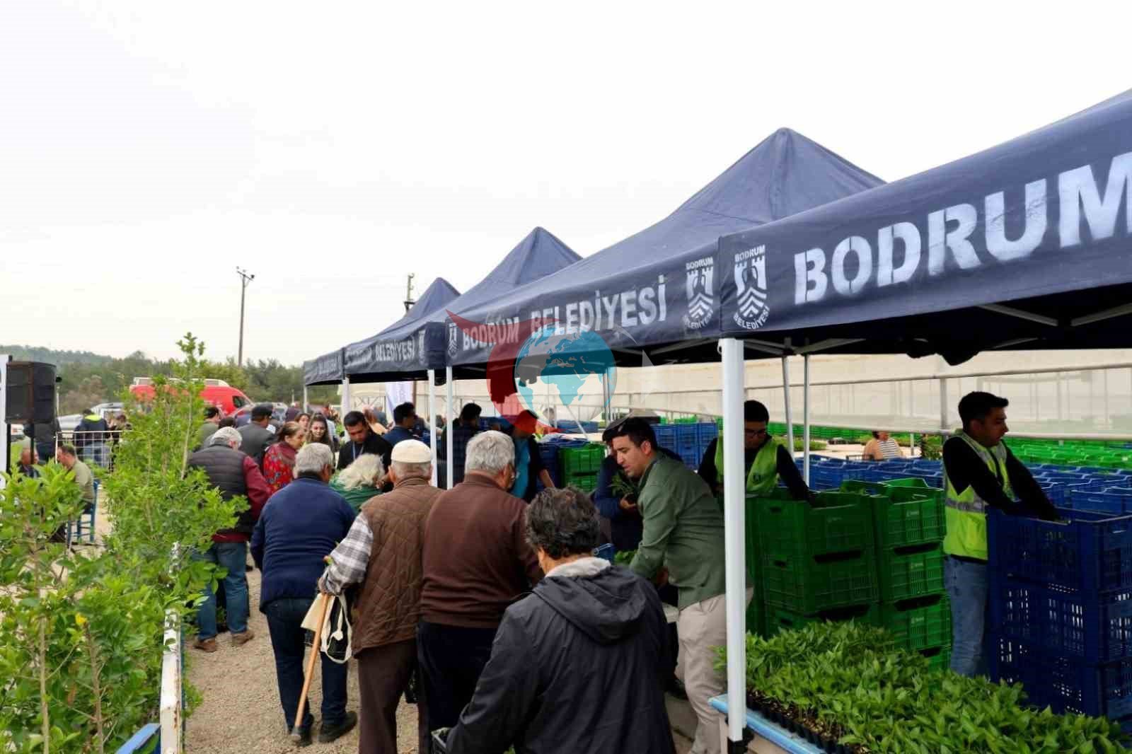 Bodrum’da yazlık fideler üreticilere dağıtıldı