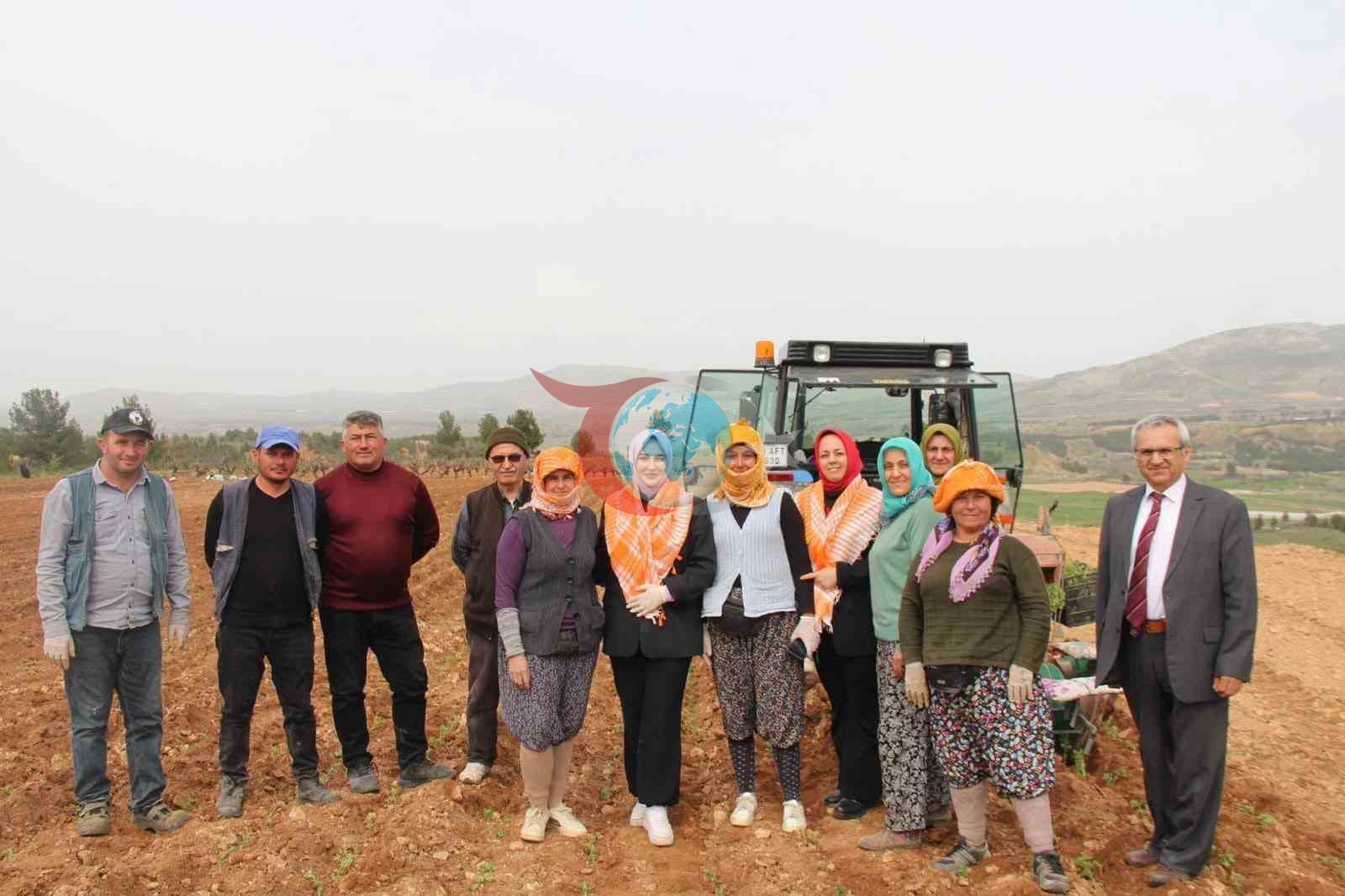 Poşusunu takan Kaymakam Kuran üreticilerle birlikte kekik dikti
