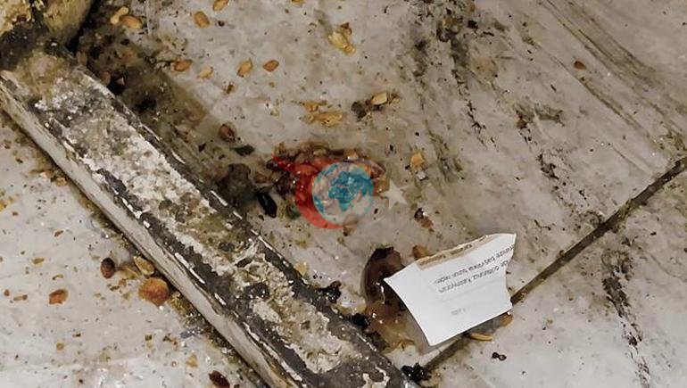 Hatay’da kötü kokunun geldiği evden kaçak lokum ve cezerye imalathanesi çıktı