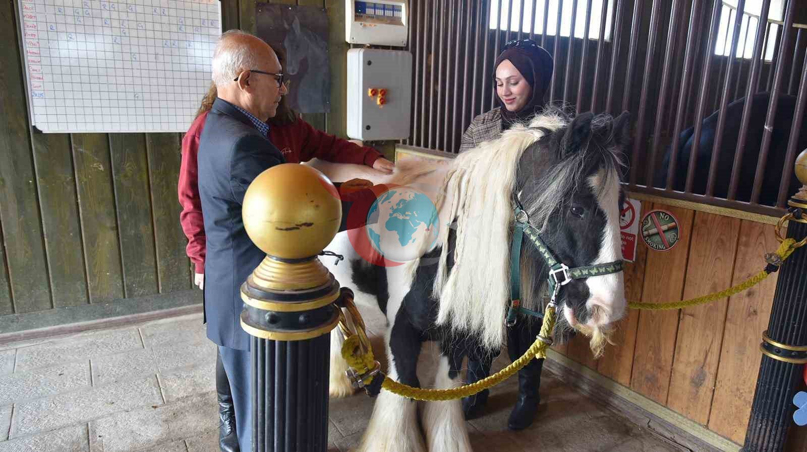 Pendik&rsquo;te atlarla şifa: Yaşlılar için atla terapi dönemi başladı