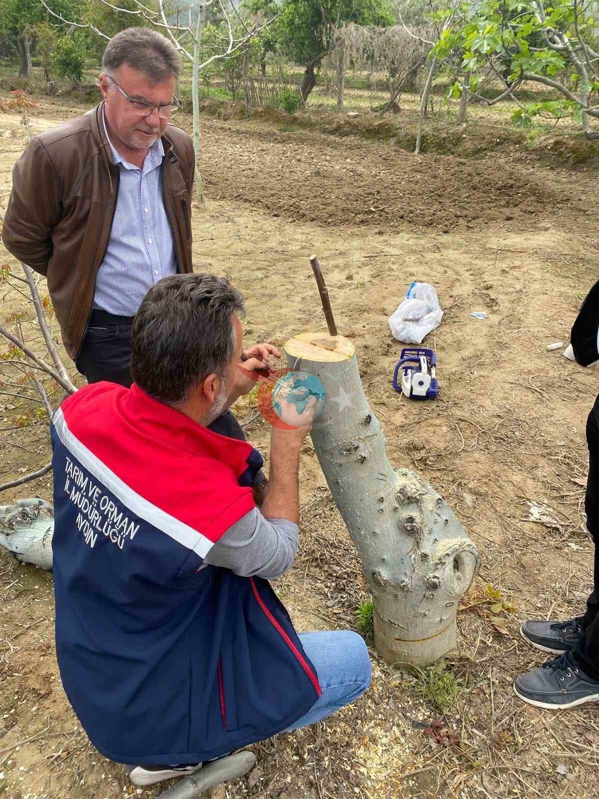 Koçarlı’da üreticilere 