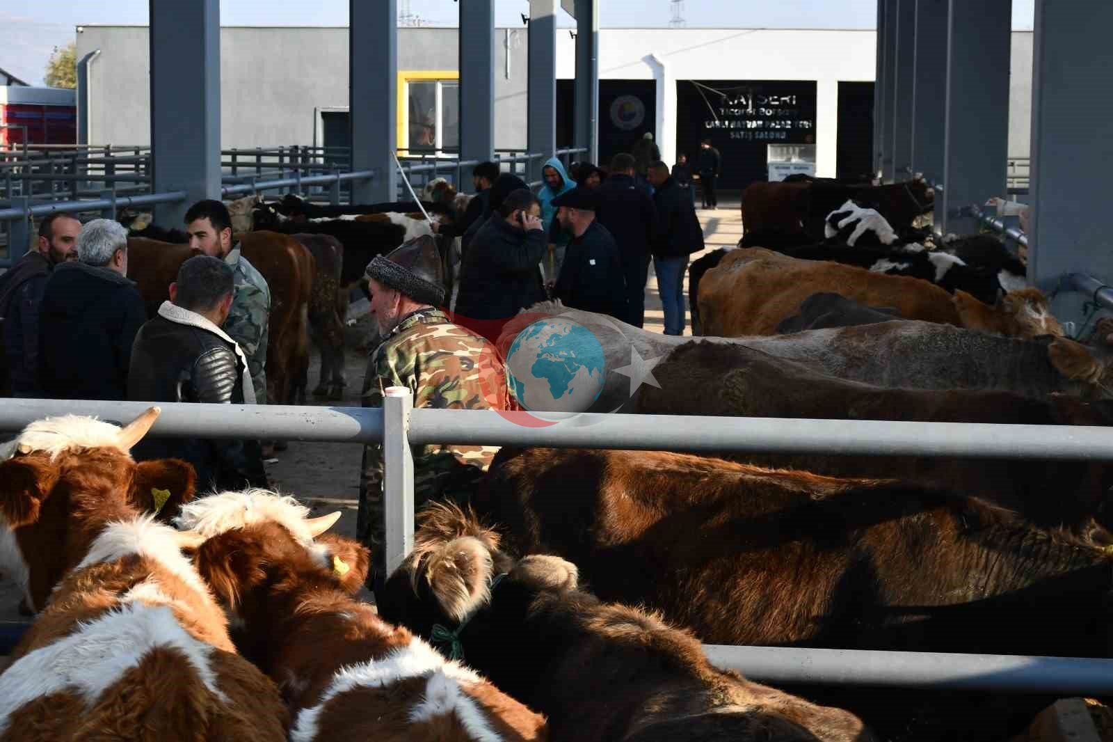 Kayseri’de Kurbanlık Tavsiye Fiyatları açıklandı