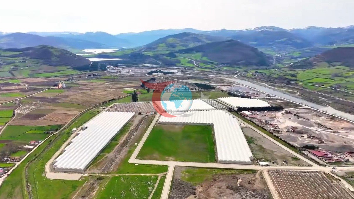 Modern tarımın yeni adresi Bafra: Karadeniz’de başarı hikayesi yazılıyor