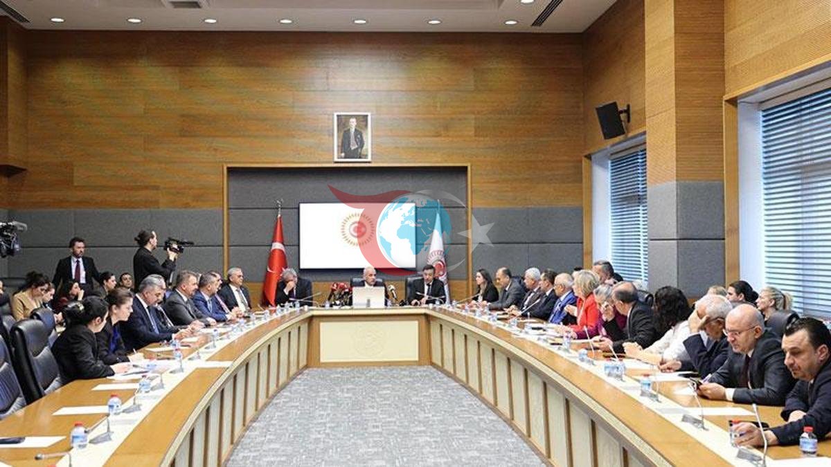 Sokak Hayvanları Toplama Çalışmaları: Türkiye'de Yeni Dönem