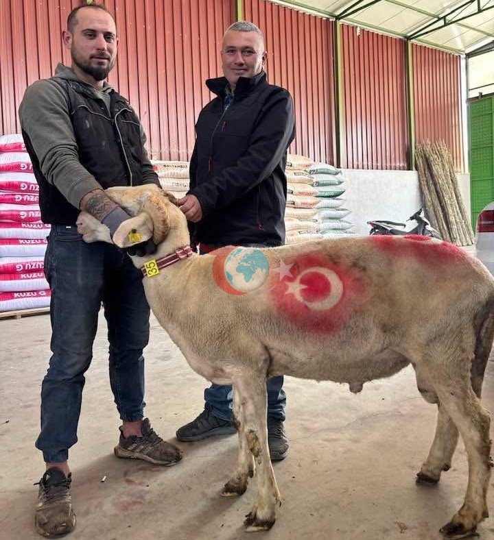 Sarıgöl&rsquo;de kurbanlık pazarı hareketlendi