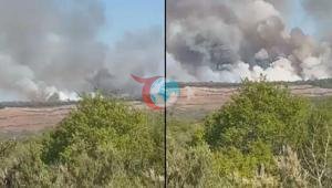 Beykozdaki alevler yeniden yükseldiği orman yangını kontrol altına alındı