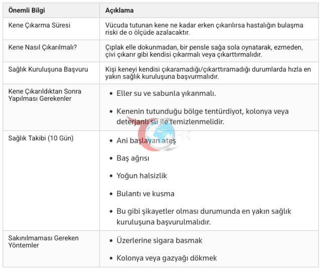 Ölümcül virüs Tokat'ta hortladı! 21 yaşındaki genç hayatını kaybetti - Resim: 1