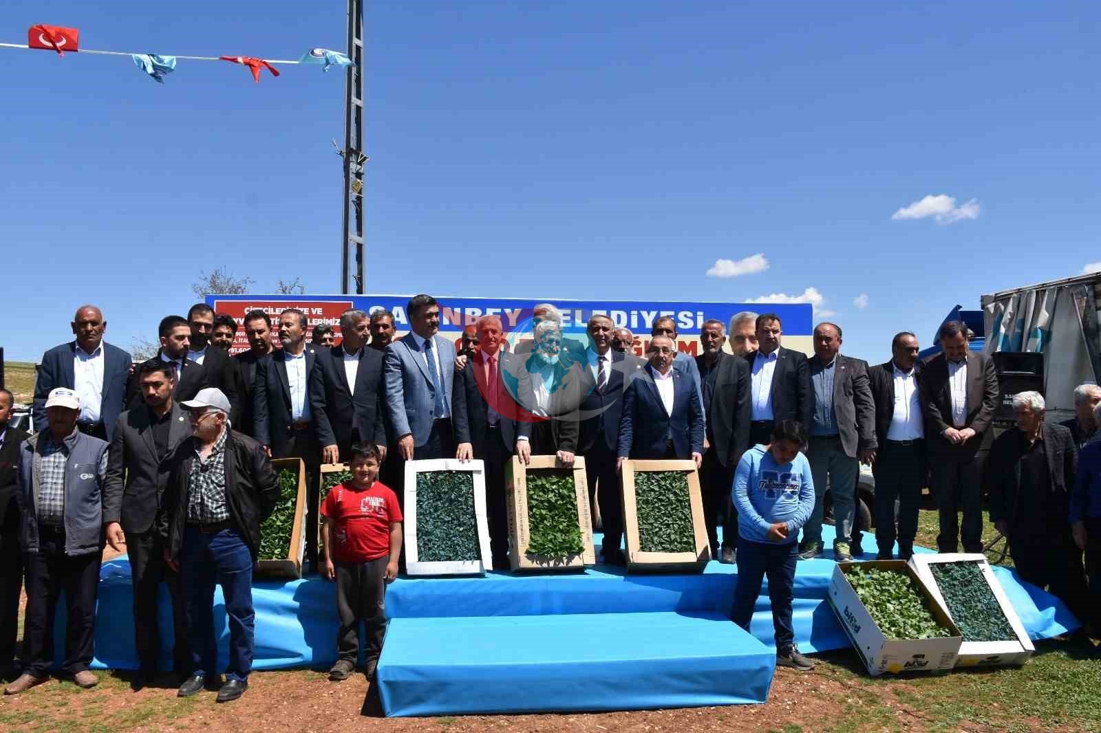 Şahinbeyli çiftçilere sertifikalı fide desteği