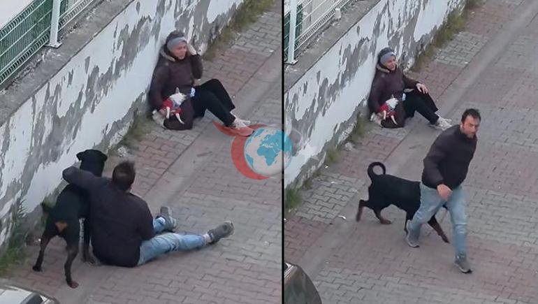 Ümraniye’de Rottweiler dehşeti Ağızlıksız köpek, küçük ırk köpeğe saldırdı, sahibi yakalandı