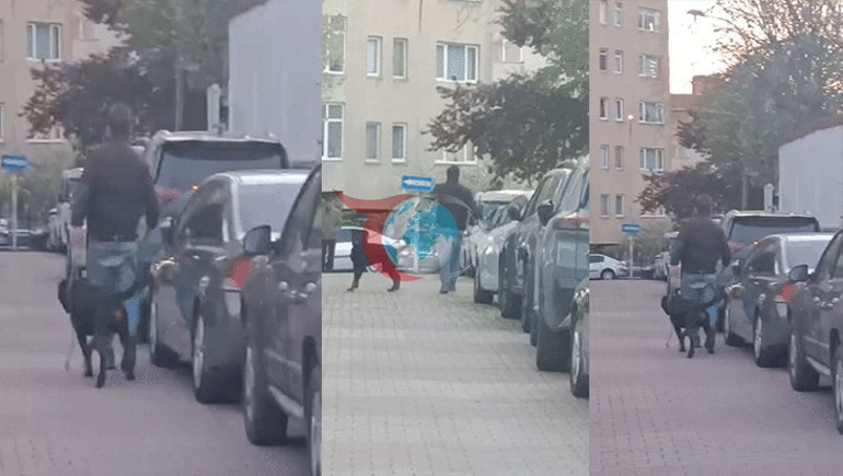 Ümraniye’de Rottweiler dehşeti Ağızlıksız köpek, küçük ırk köpeğe saldırdı, sahibi yakalandı