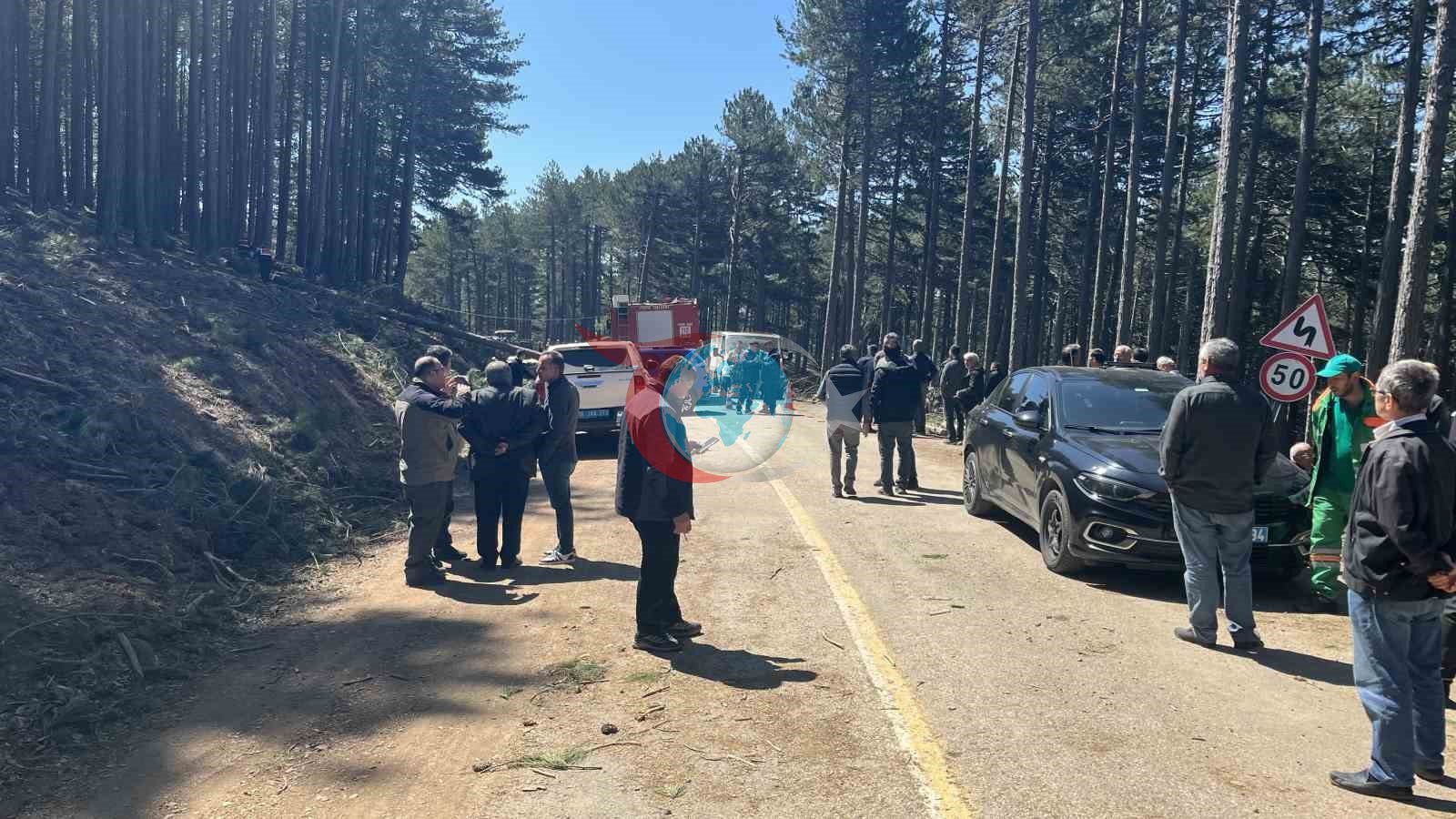 Uludağ’da inanılmaz olay...Kesilen ağaç seyir halindeki kamyonetin üzerine devrildi: 1 ölü