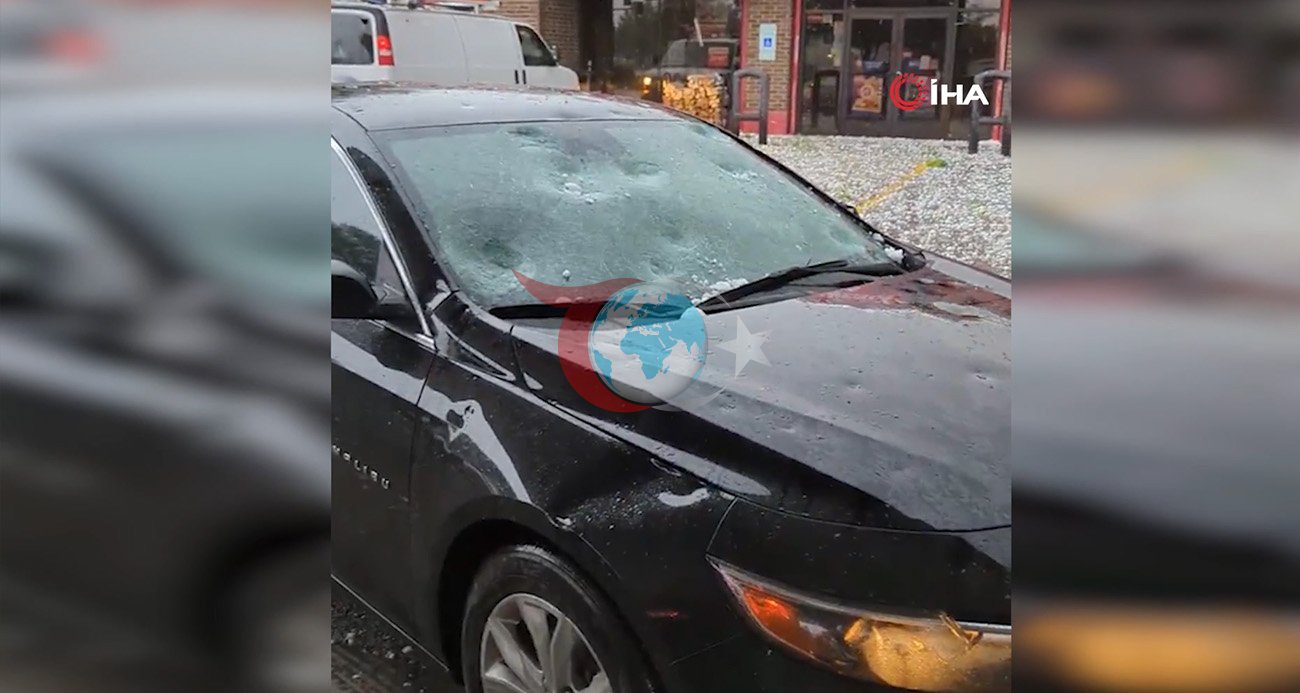 ABD’de Şiddetli Dolu Yağışı: Hayvanat Bahçesinde Acı Kayıp
