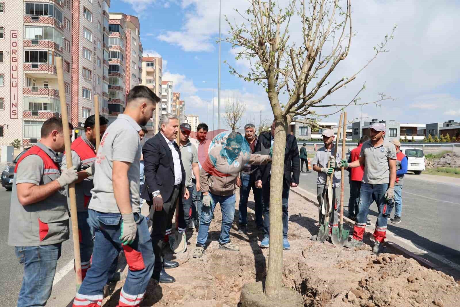 Melikgazi, ağaçlandırma çalışmaları ile geleceğe daha yeşil bir miras bırakıyor