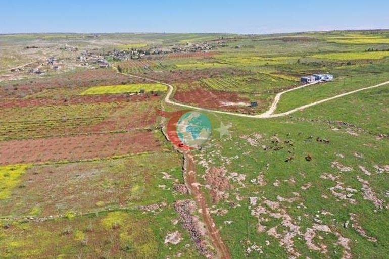 Türkiyedeki büyük gizem Japonlar kazmak için geliyor: Ne kadar sürerse sürsün