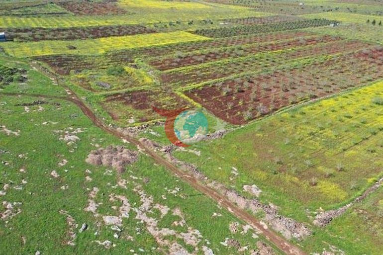 Türkiyedeki büyük gizem Japonlar kazmak için geliyor: Ne kadar sürerse sürsün