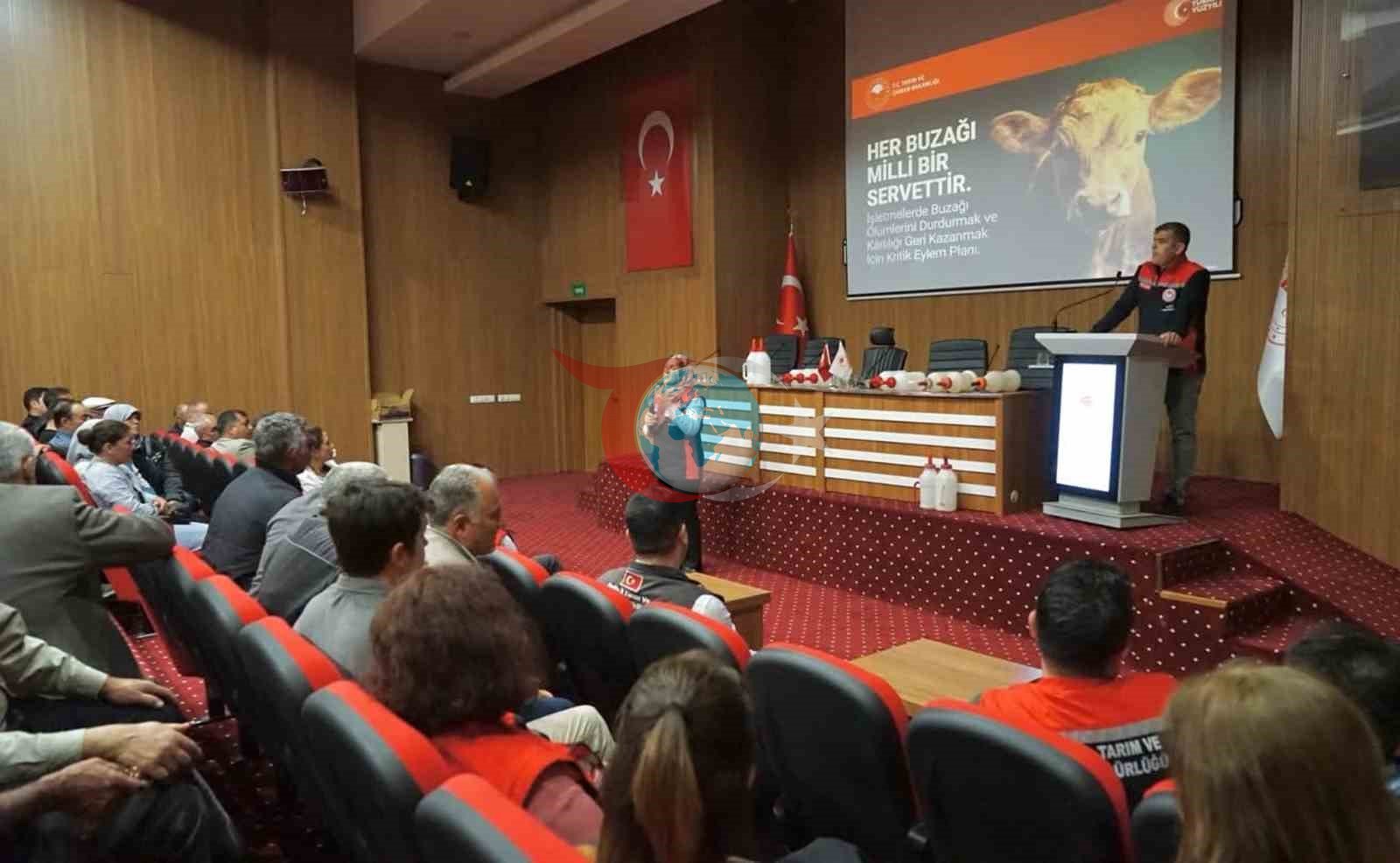 Muğla'da Buzağı Ölüm Oranlarını Azaltmak İçin Eğitim Seferberliği Başladı