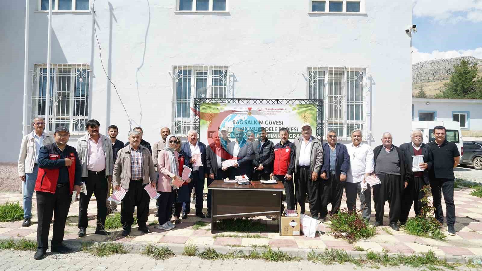 Kahramanmaraş&rsquo;ta Kabarcık Üzüm&rsquo;e koruma hamlesi