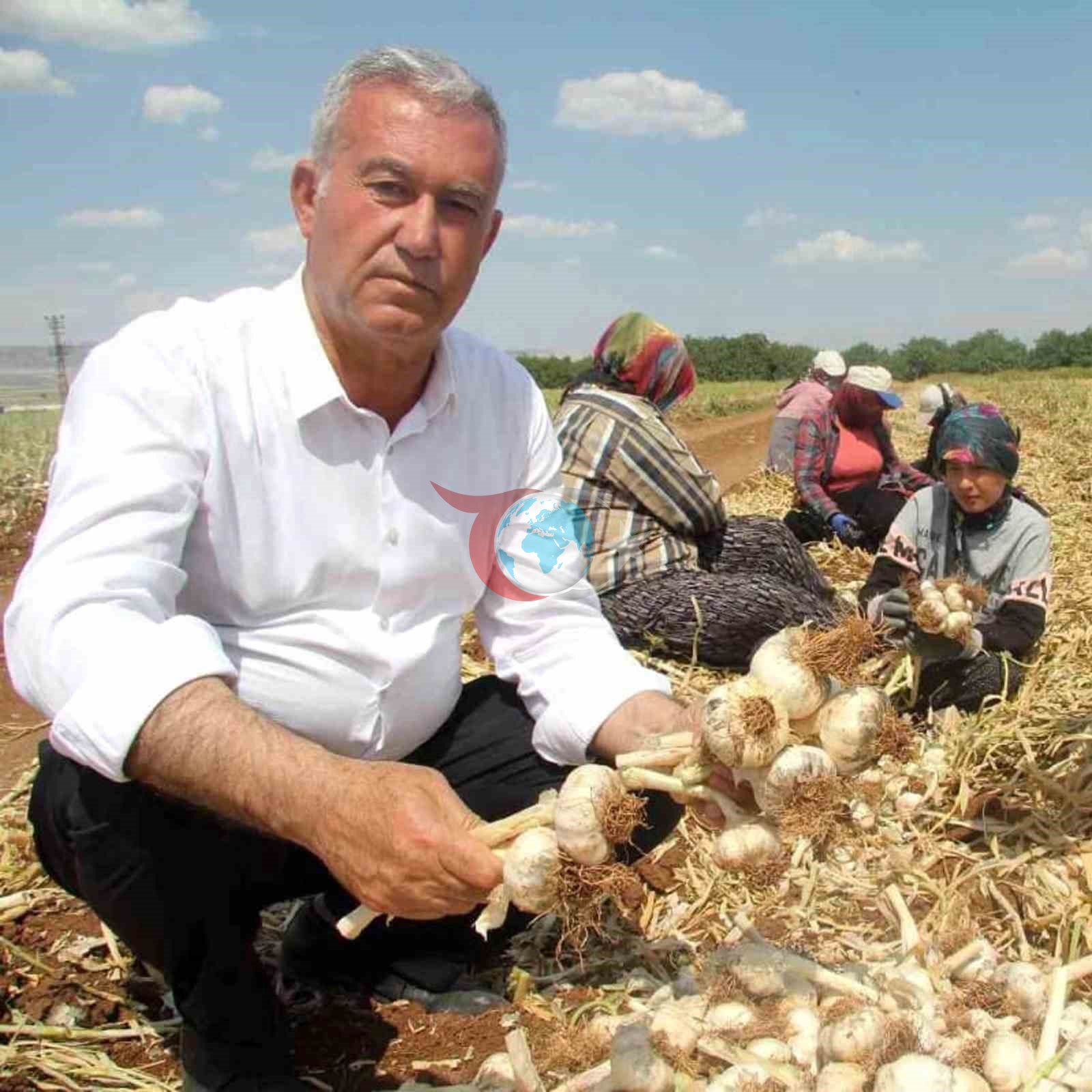 Gaziantep'te Araban Sarımsağının Gelişimi Yerinde İncelendi