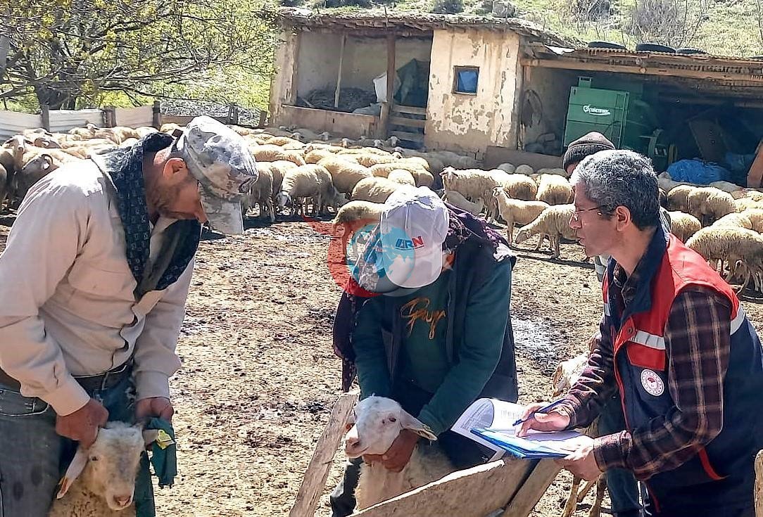 Kuzularฤฑn geliลim sรผreรงleri kontrol edildi