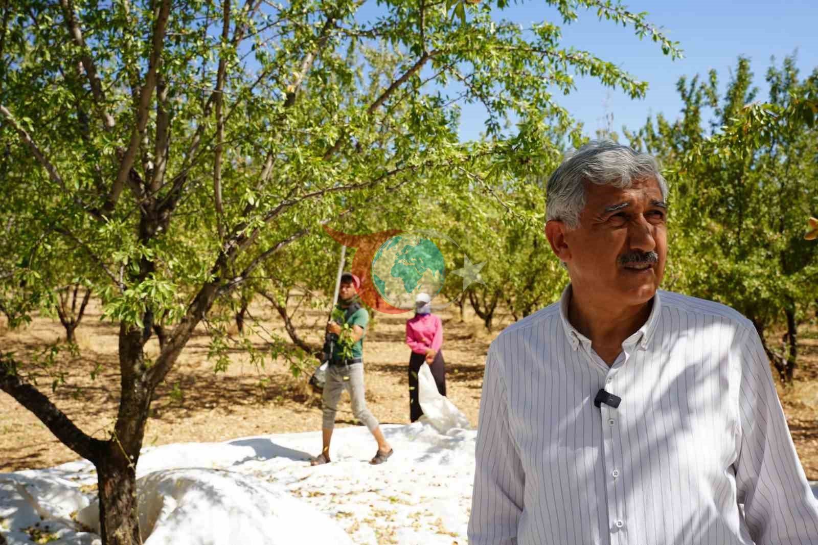 Başkan Hallaç’tan 1 Mayıs Mesajı: Emek ve Dayanışmaya Vurgu