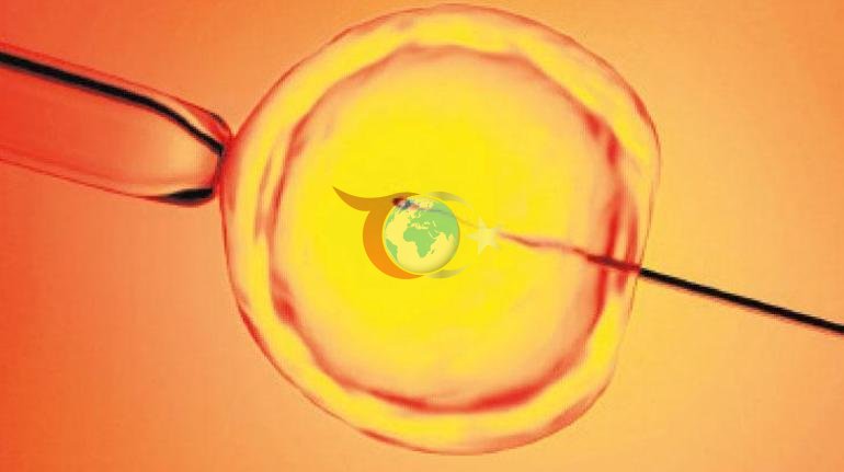 Gizli sperm avcısı
