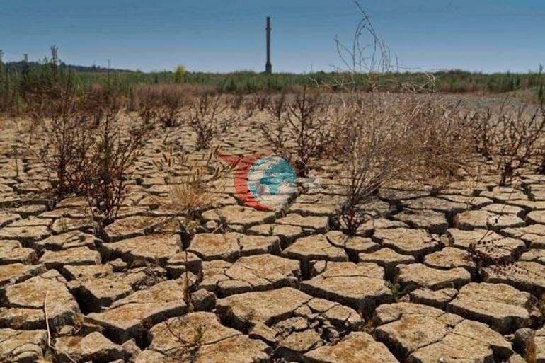 Profesörden Türkiye için korkutan senaryo: Türkiyede bu yıl da sıcaklık rekorları kırılacak