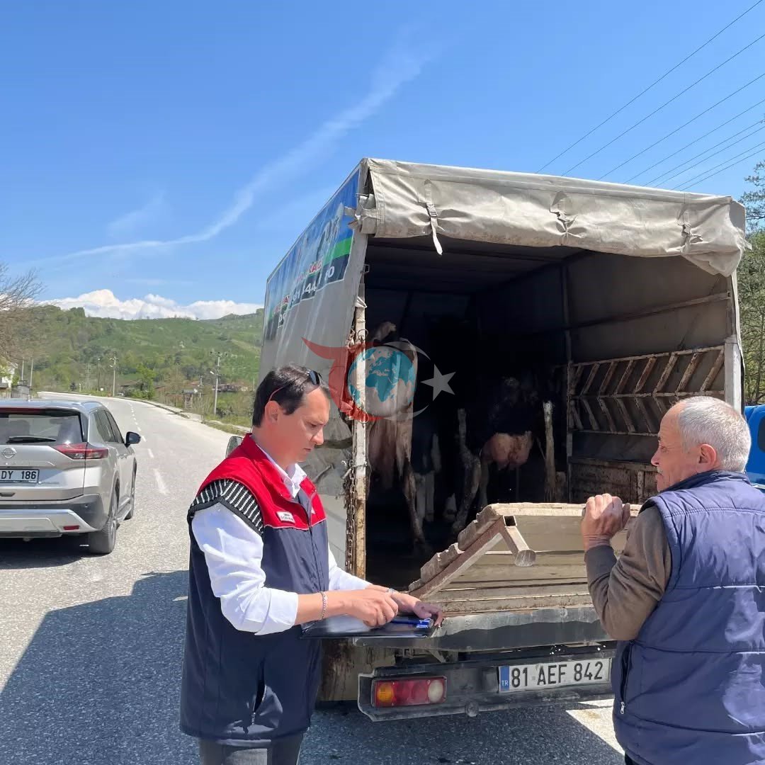 Hayvan sevki denetim altında