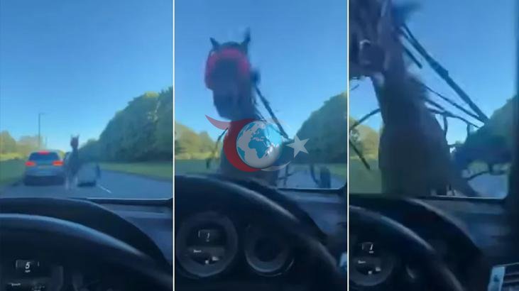 Kontrolden Çıkan At Lüks Araca Çarptı: Panik Yarattı!