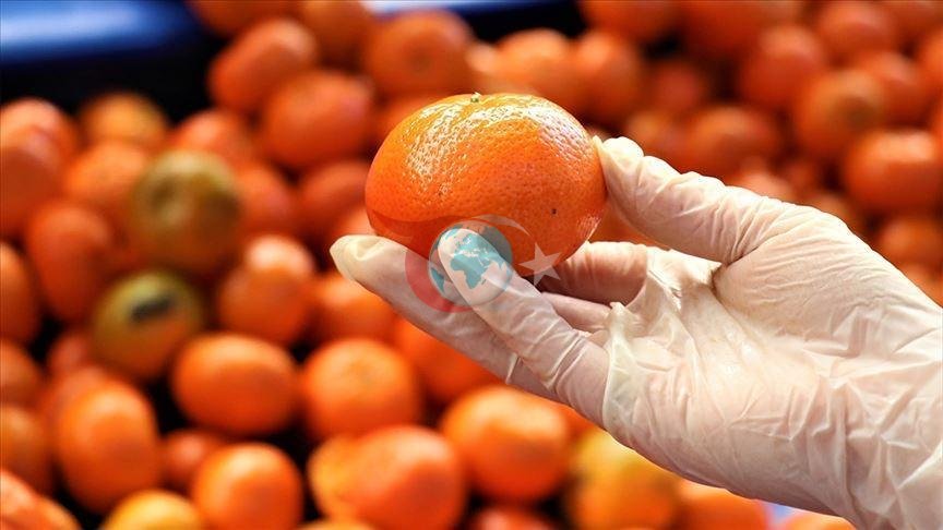 Mersin, Turunçgil İhracatında Liderliğini Koruyor