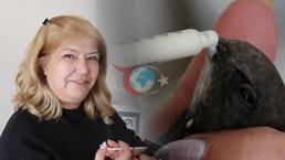 Çok nadir yere iniyor! Sivas'ta görüldü: Bir havalanışta 200 bin kilometre