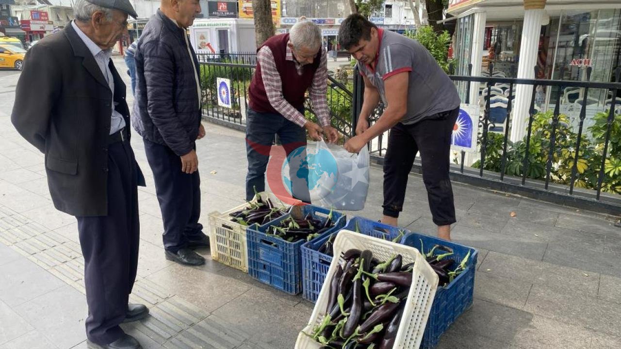 Üretici Patlıcanları Çöpe Gitmesin Diye Halka Dağıttı