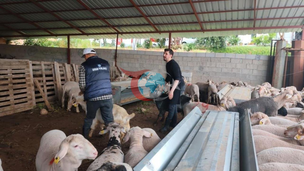Kurban Satışları Hızlandı, Pazarlıklar Başladı