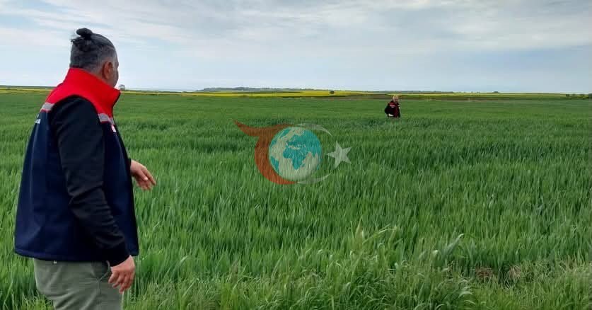 Tarımda Verim Artışı İçin Saha Çalışmaları Başladı