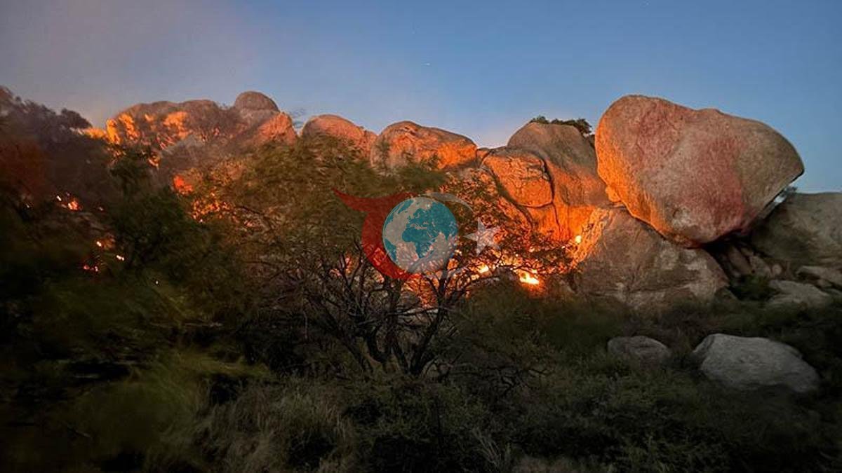 Arizona'da Şiddetli Yangın: 2 Bin 200 Dönüm Alan Yandı