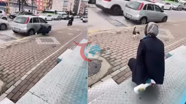 Sokak Kedisine Akıl Almaz Şiddet! 'Gel Annem Gel' Diyerek Yanına Çağırdı