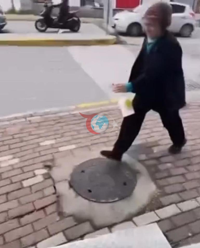 Sokak kedisine işkence Gel annem gel diyerek çağırdıktan sonra yaptığı kan dondurdu