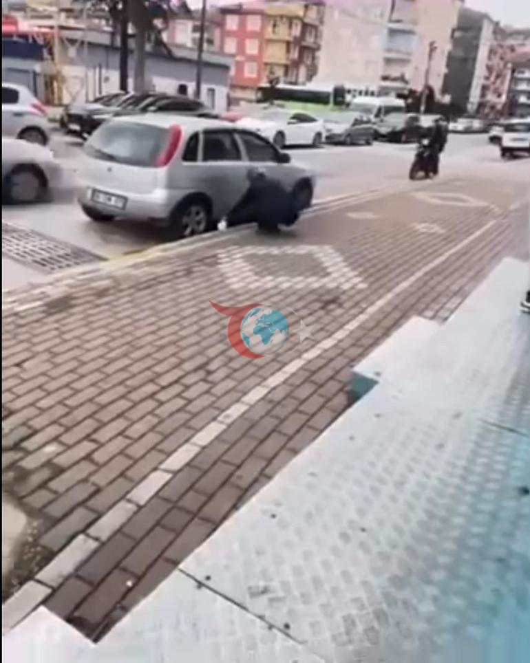 Sokak kedisine işkence Gel annem gel diyerek çağırdıktan sonra yaptığı kan dondurdu