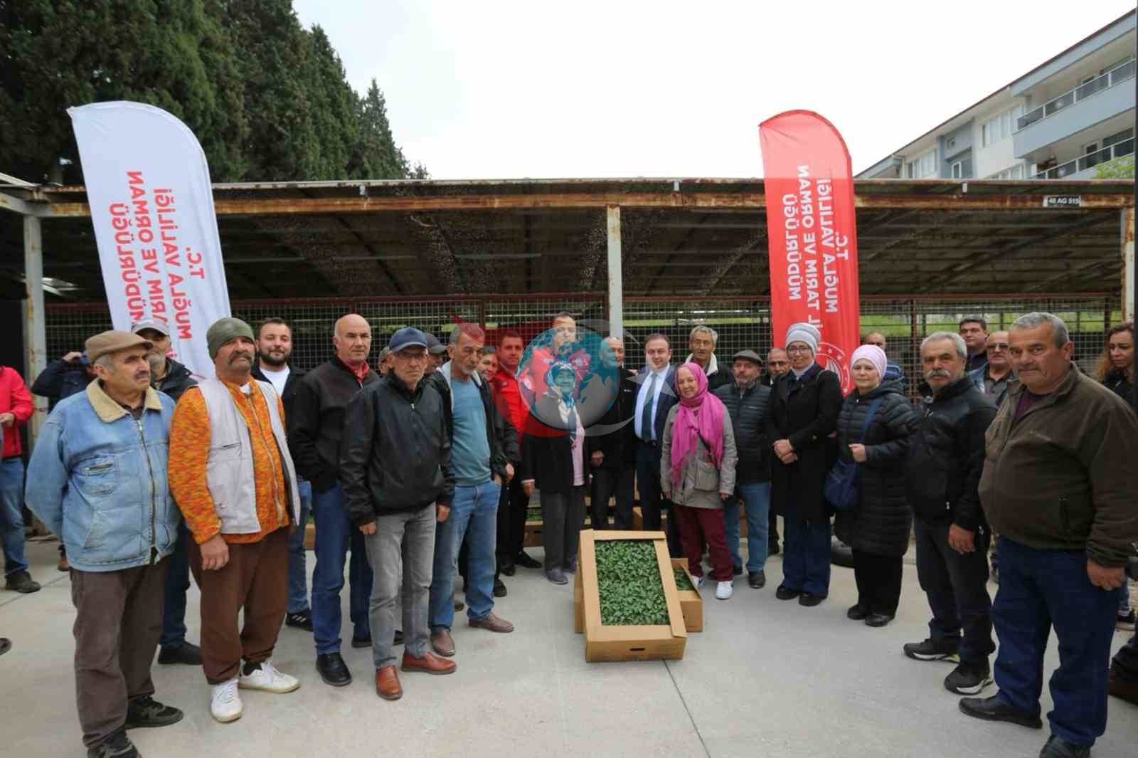 500 Bin Yerli Tohumdan Üretilen Fideler Toprakla Buluşuyor