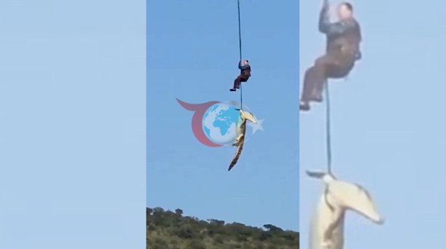 Akılalmaz olay! Selde kaybolan iş insanıizi timsahın midesinden çıktı - Resim: 1