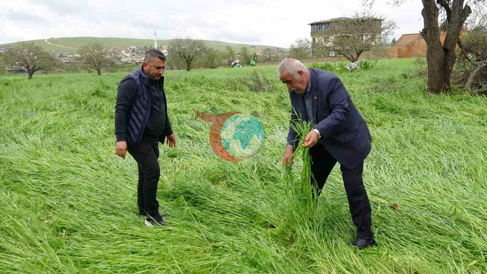 Gaziantep'te Süper Hücre Felaketi: Tarım Arazileri Büyük Zarar Gördü