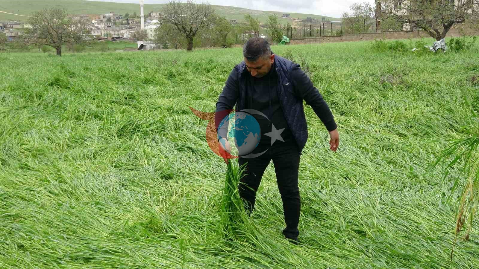 Hububatı &lsquo;süper hücre&rsquo; vurdu