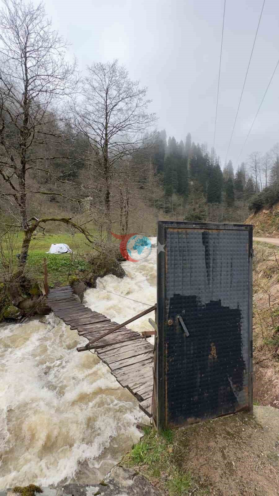 Karadeniz'in Sürprizleri: Rize'de Şaşırtan Detay