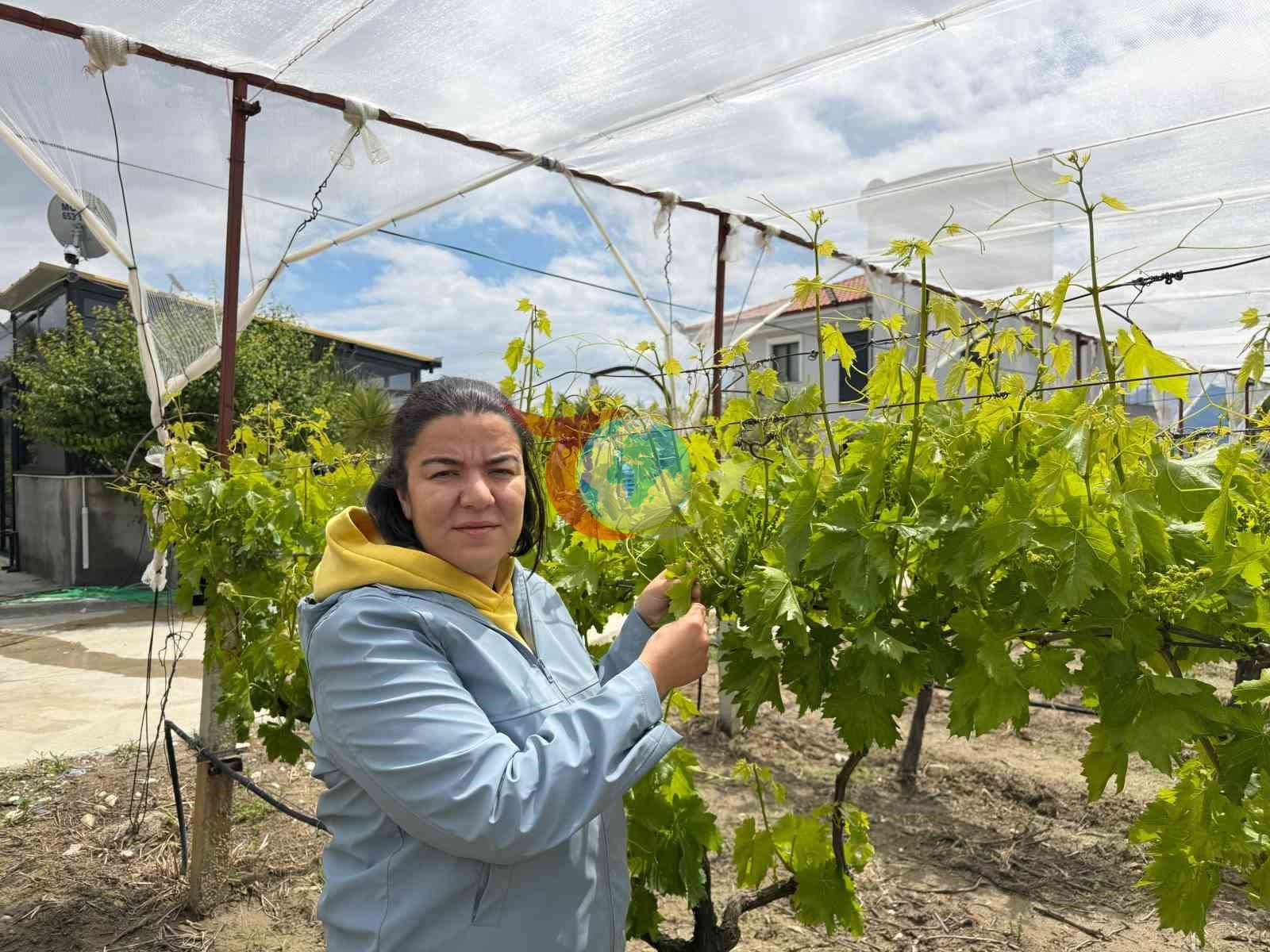 Laboratuvar sonuçları 