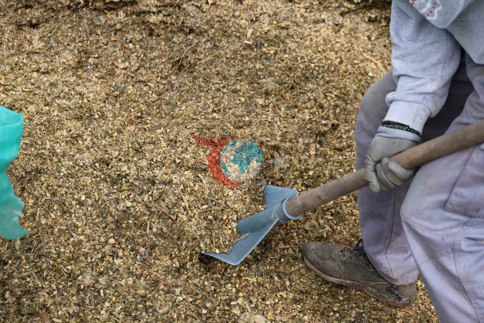 Aydın&rsquo;da bahar bereketi, yağışlar hayvancılık sektörüne yaradı