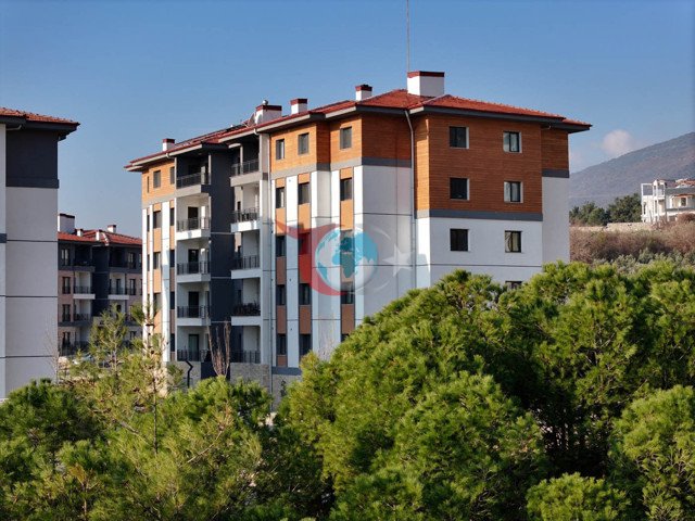 Asrın inşası COP31'in gündeminde - Resim: 1