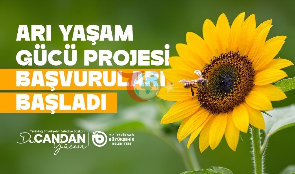 Tekirdağ'da Arıcılara Yem Desteği İçin Başvurular Başladı