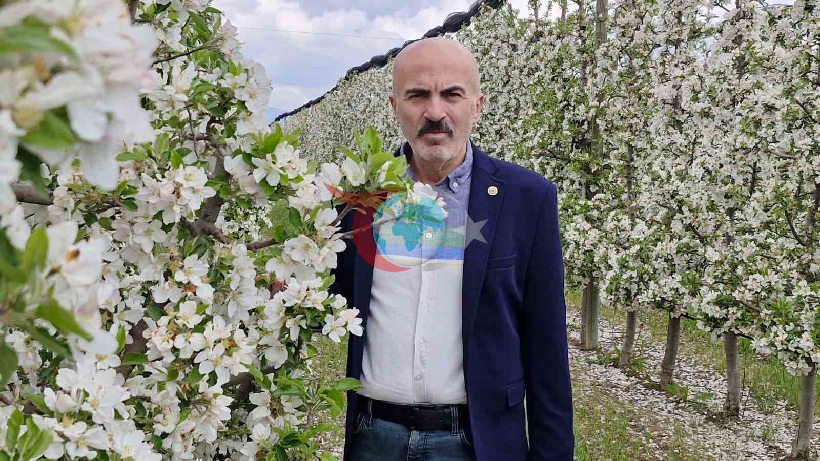 Karaman'da Elma Ağaçları Beyaz Çiçeklerle Donandı