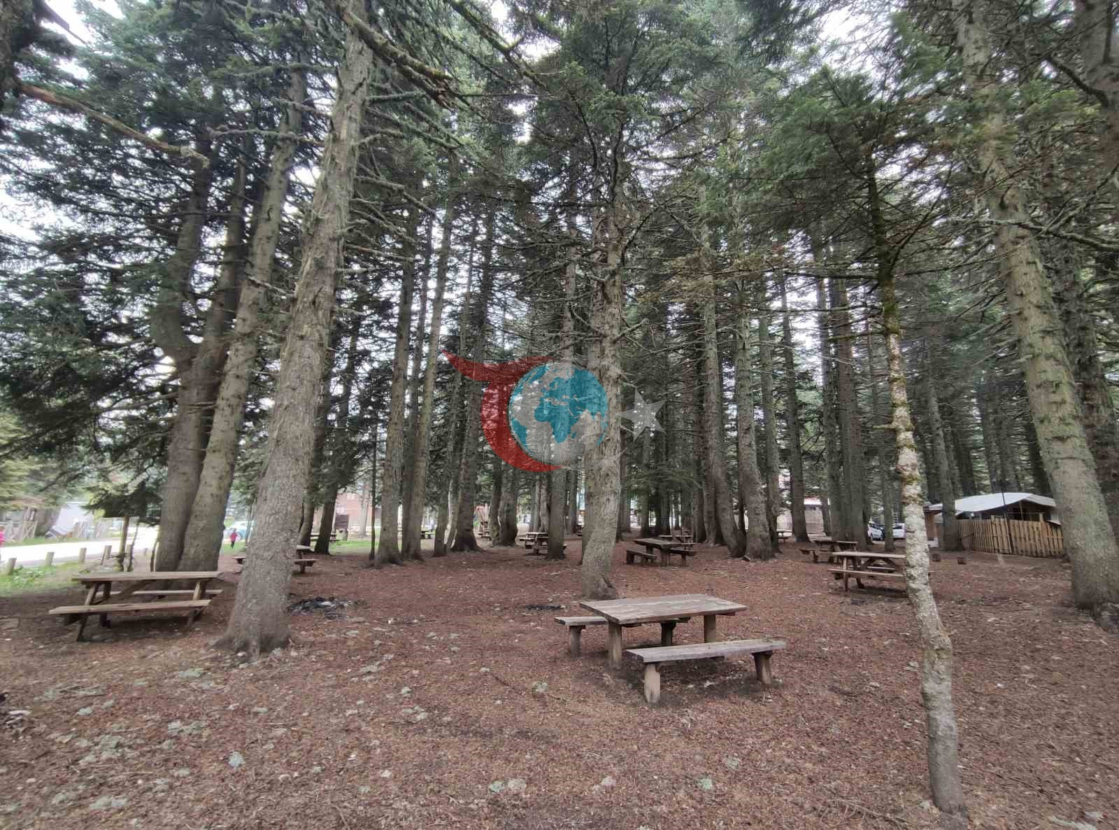 Uludağ&rsquo;da kamp sezonu açılıyor