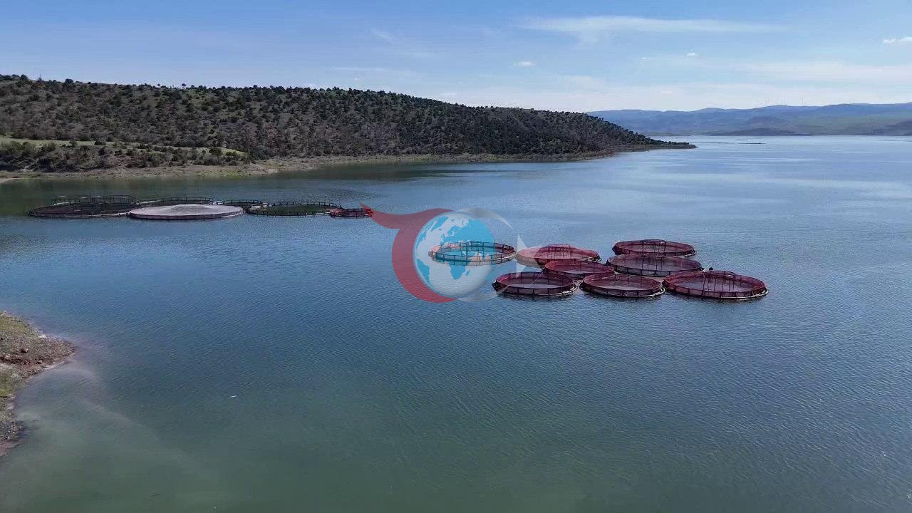 Karadeniz’e rakip çıktı: Bozkırın ortasında yetiştirip Avrupa'ya satıyorlar!