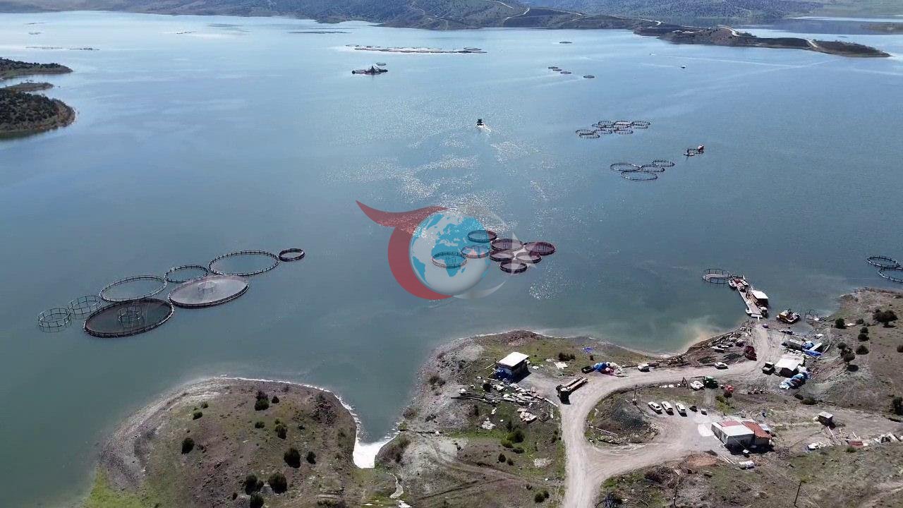 Karadeniz’e rakip çıktı: Bozkırın ortasında yetiştirip Avrupa'ya satıyorlar!